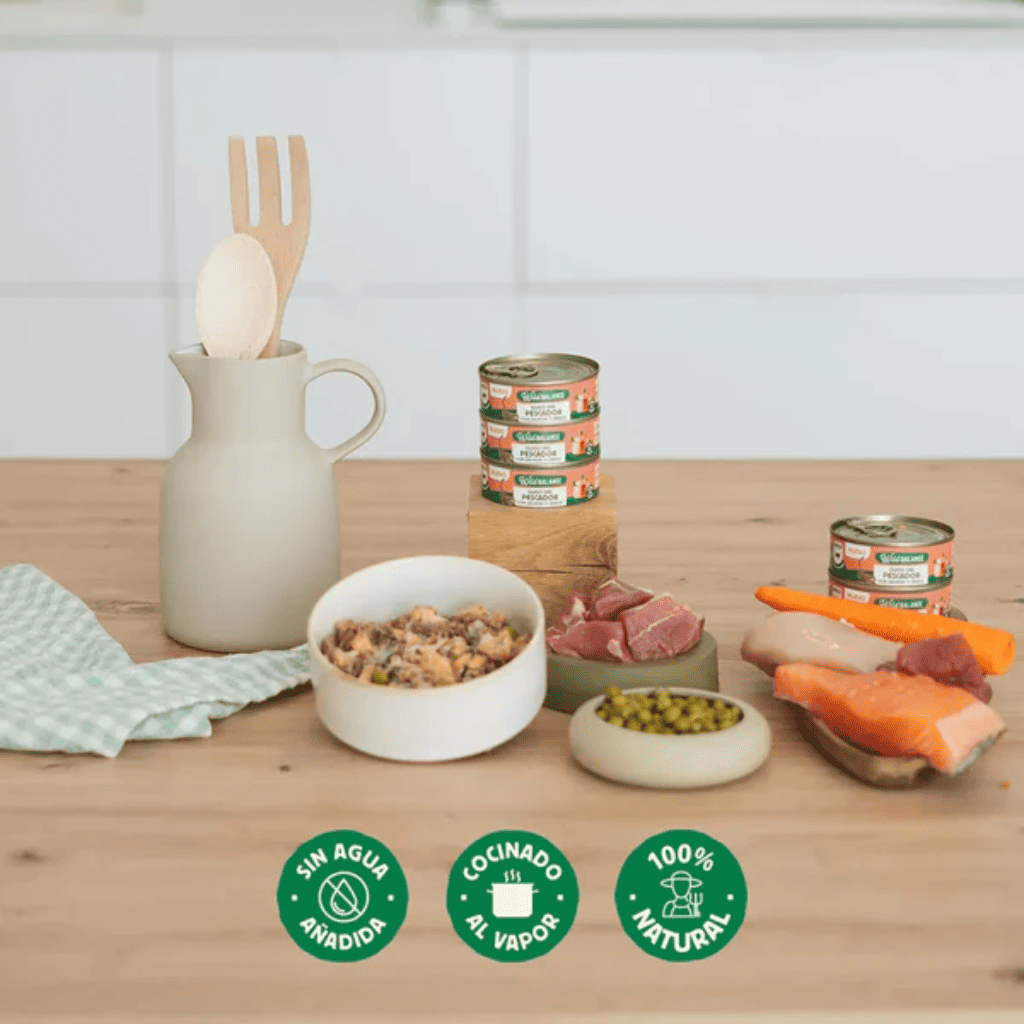 WILD BALANCE Ragut Tradicional de Salmón y Cerdo 80 g