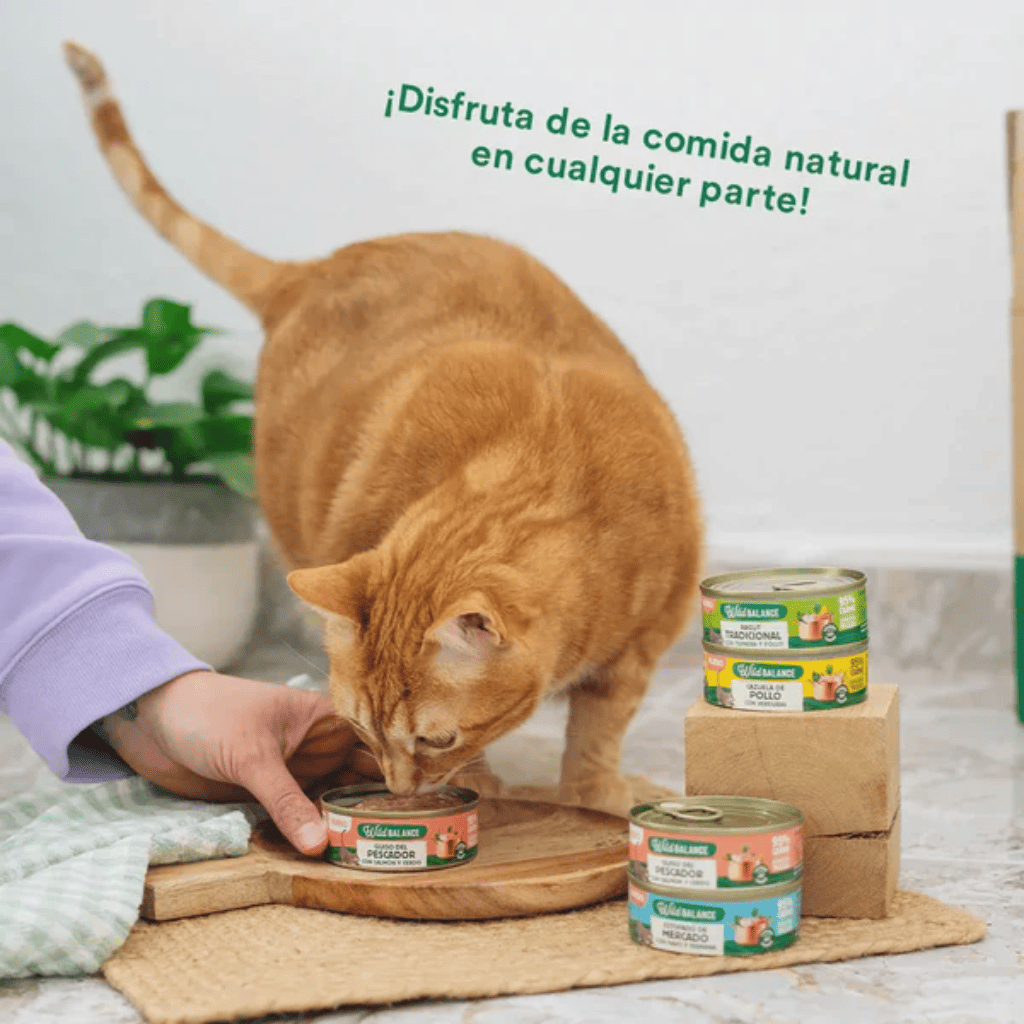 WILD BALANCE Guiso del pescador con Salmón y Cerdo 80 g para gatos