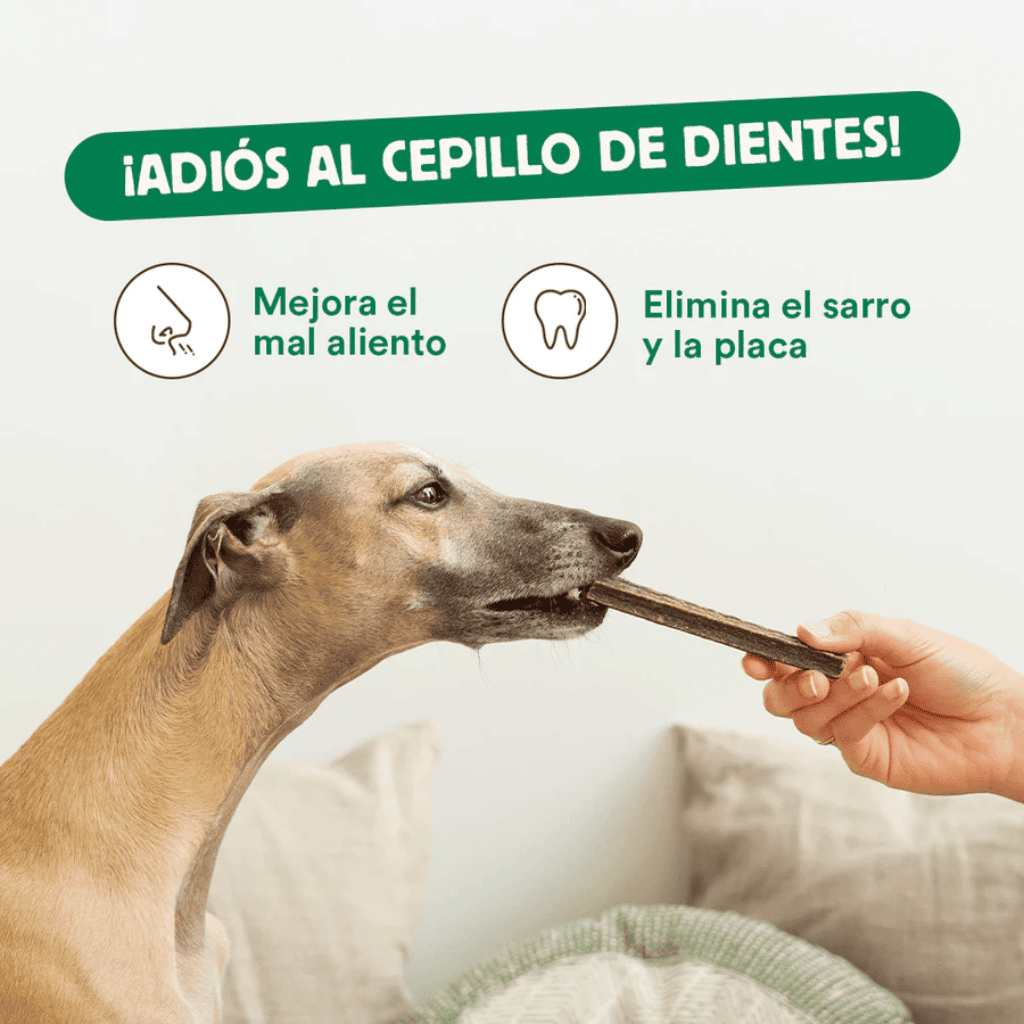 WILD BALANCE Sticks Dentales Elimina la Placa y Sarro 7 uds