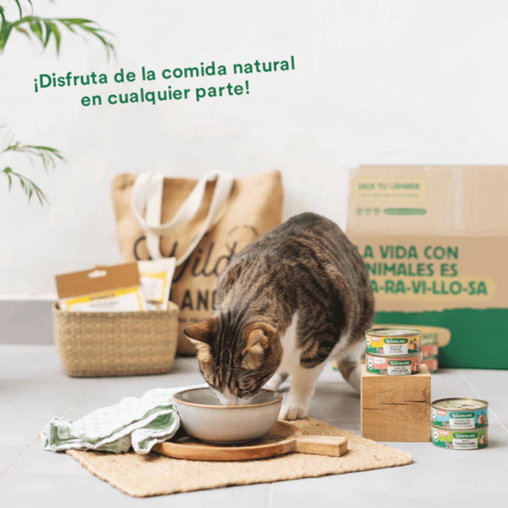 WILD BALANCE Ragut Tradicional de Ternera y Pollo 80 g para gatos