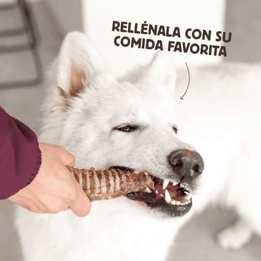 WILD BALANCE Tráqueas de Ternera 100 g para perros