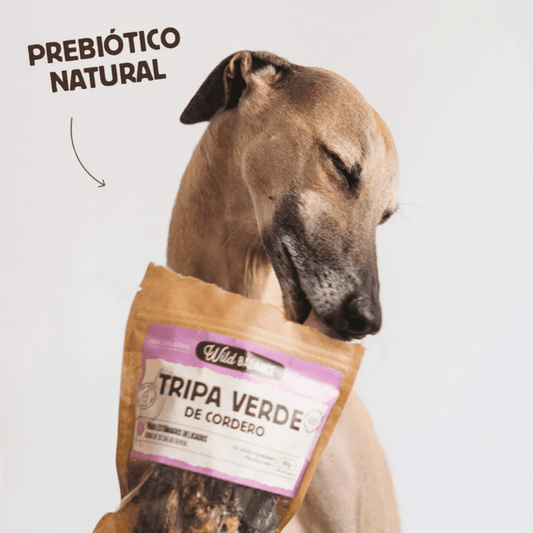WILD BALANCE Tripa Verde de Cordero 80 g para perros
