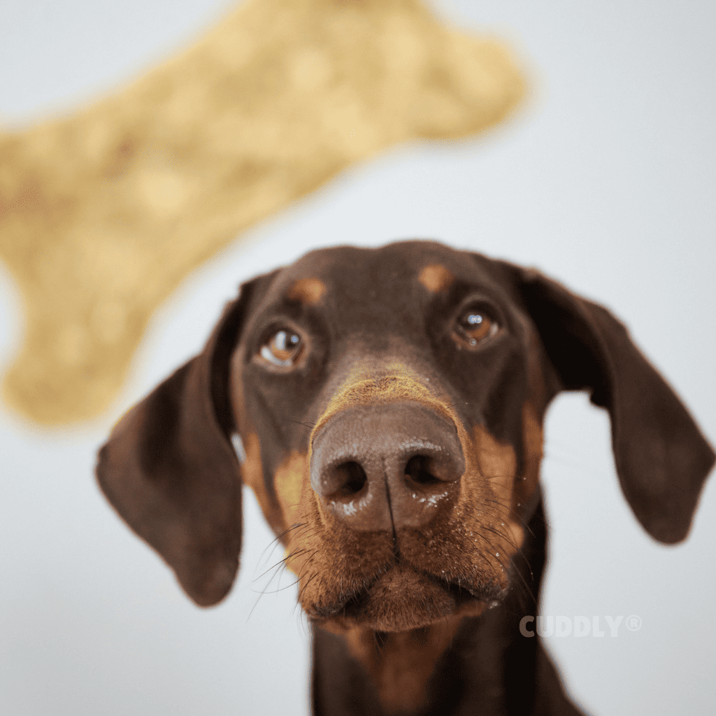 WOOLF Naturals Hueso Ternera, Glucosamina y Condroitina granel