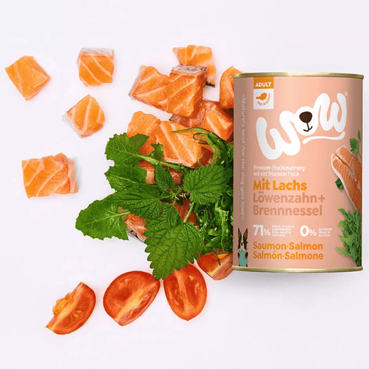WOW Salmón con Diente de León y Ortiga 400 g para perros