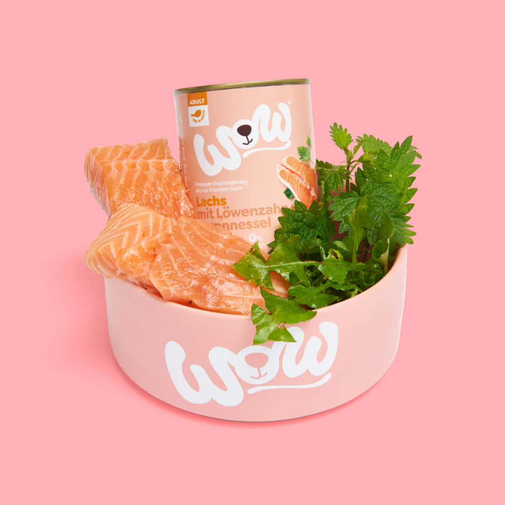 WOW Salmón con Diente de León y Ortiga 400 g