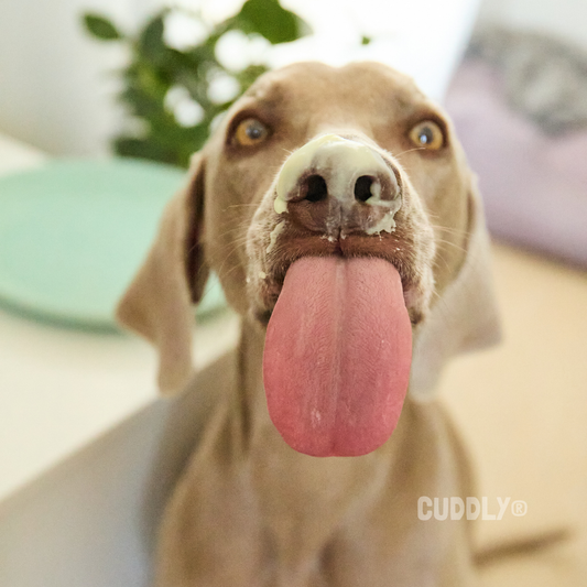 YOGUPET Flamapet 110 g para perros