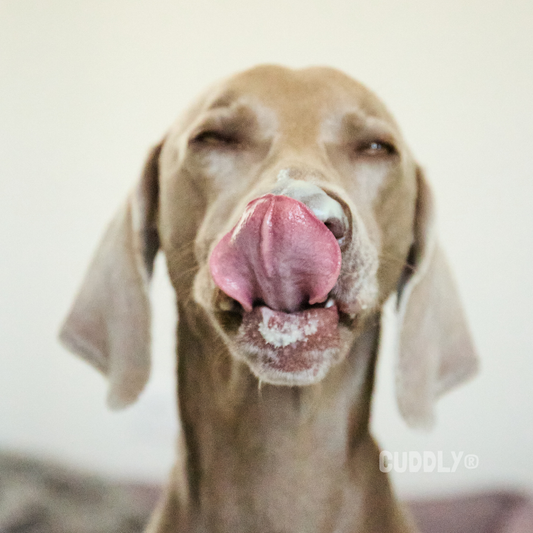 YOGUPET Aceite de Oliva 110 g para perros