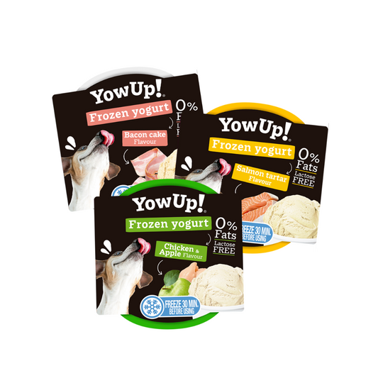 YowUp! Helado Pollo y Manzana 110 g