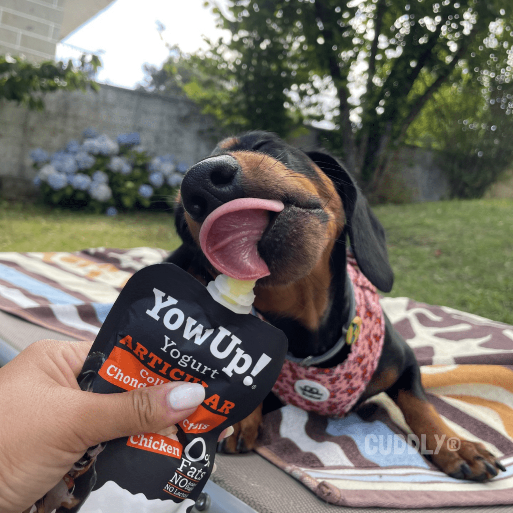 YowUp! Yogur Articular Pollo 115 g