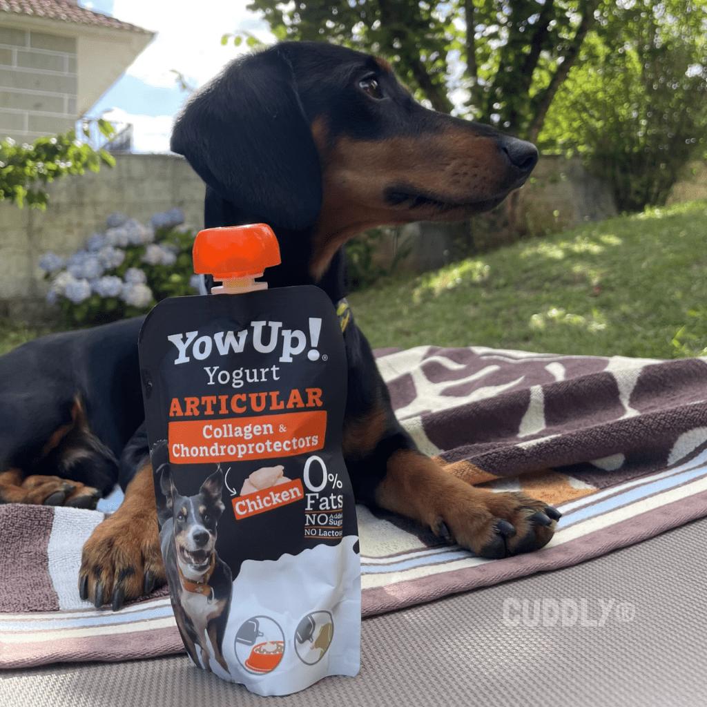 YowUp! Yogur Articular Pollo 115 g