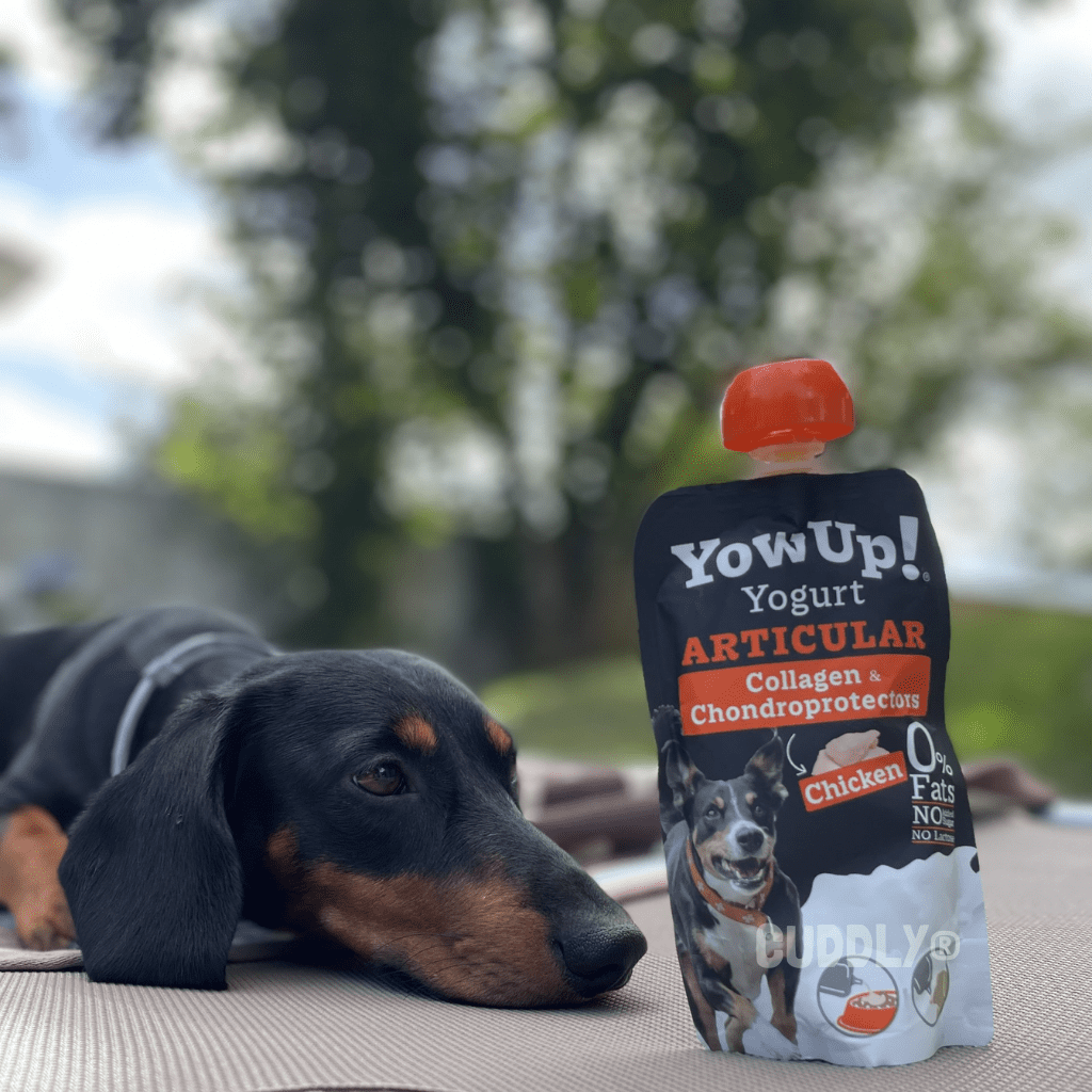 YowUp! Yogur Articular Pollo 115 g