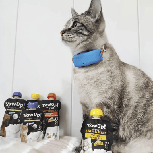 YowUp! Yogur Skin&Hair 85 g para gatos