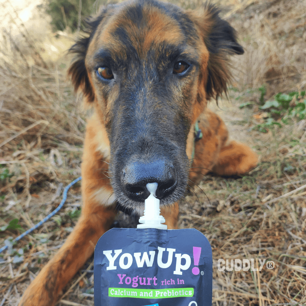 YowUp! Yogur para Perros 115 g