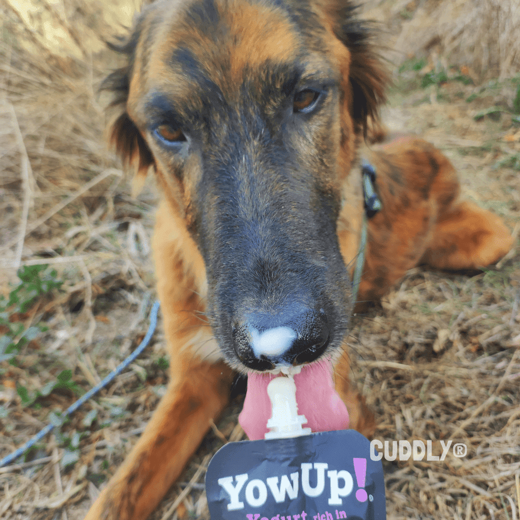 YowUp! Yogur para Perros 115 g