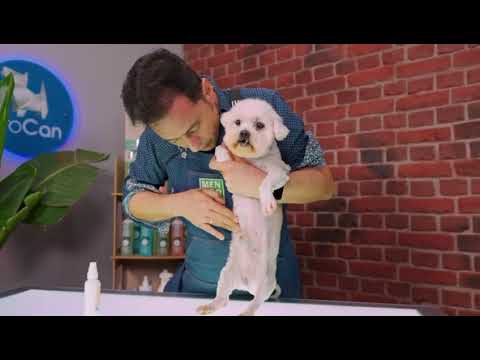 MENFORSAN Protector Solar F30 60ml para perros y gatos