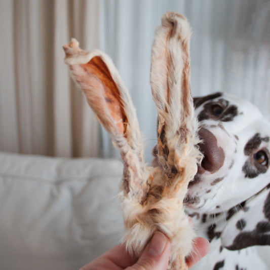 BEEZTEES Orejas de Conejo con Pelo 200 g para perros