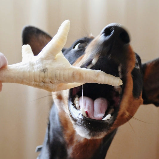 BEEZTEES Patas Pollo Infladas 200 g para perros