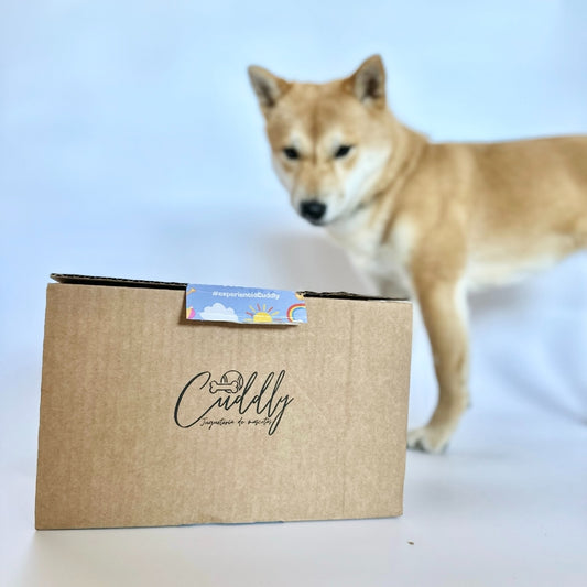 Mystery Box para perros