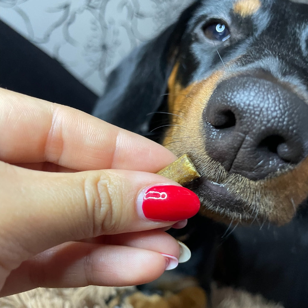 EDGARD&COOPER Bocaditos Pequeños Cordero y Pavo 50 g para perros