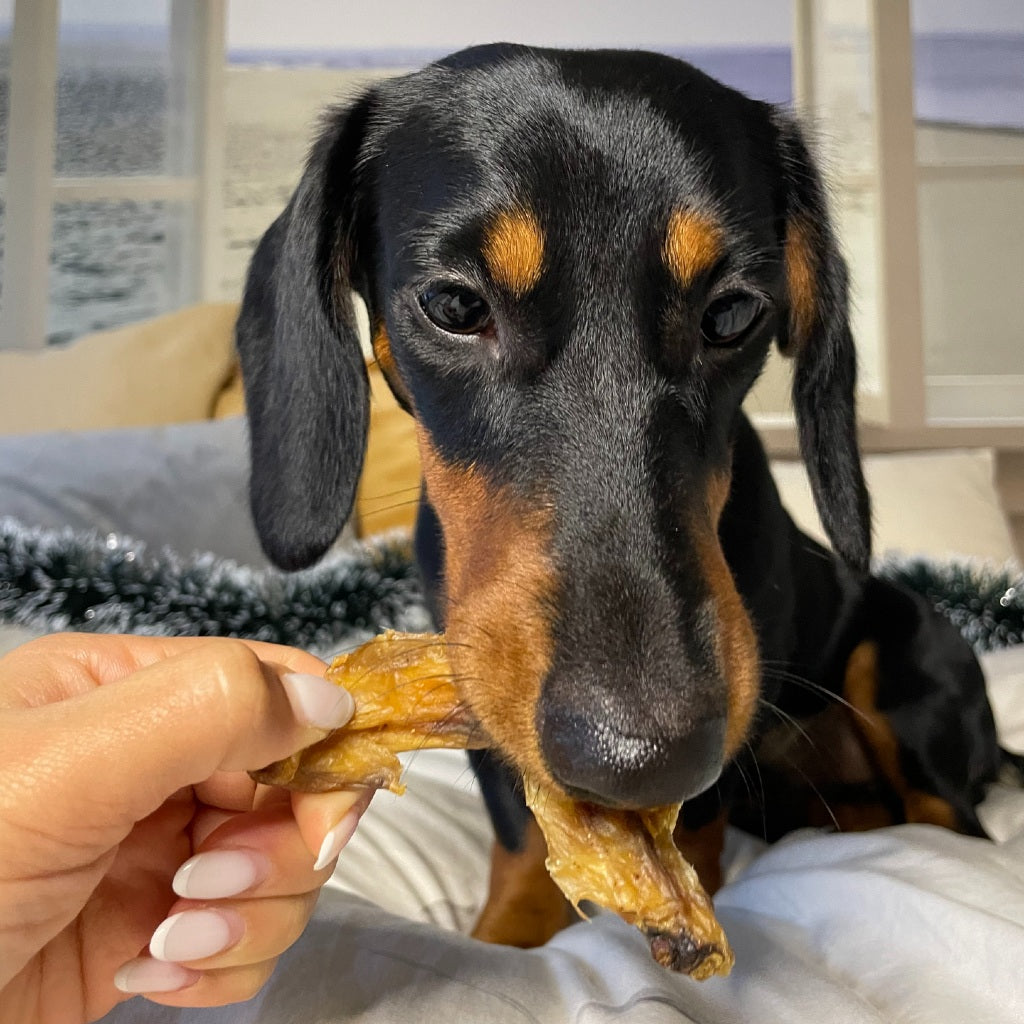 FLAMINGO Alitas de Pollo 100 g para perros