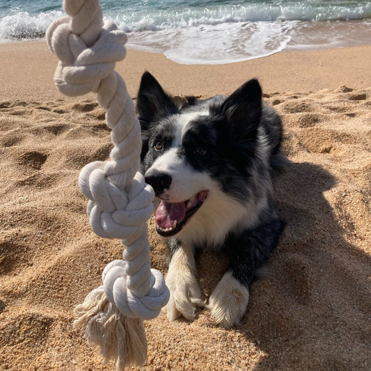 FLAMINGO Cuerda XL para perros