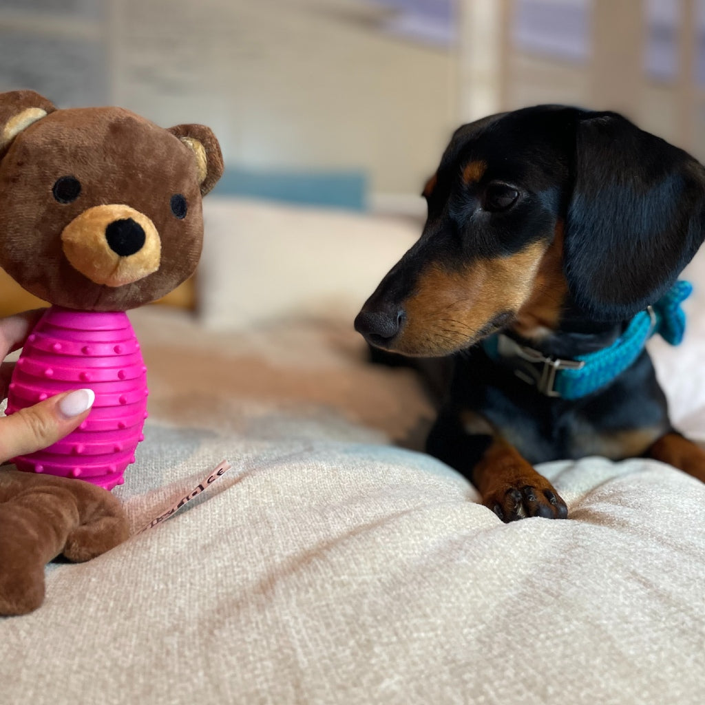 GLORIA Gaby peluche para perros