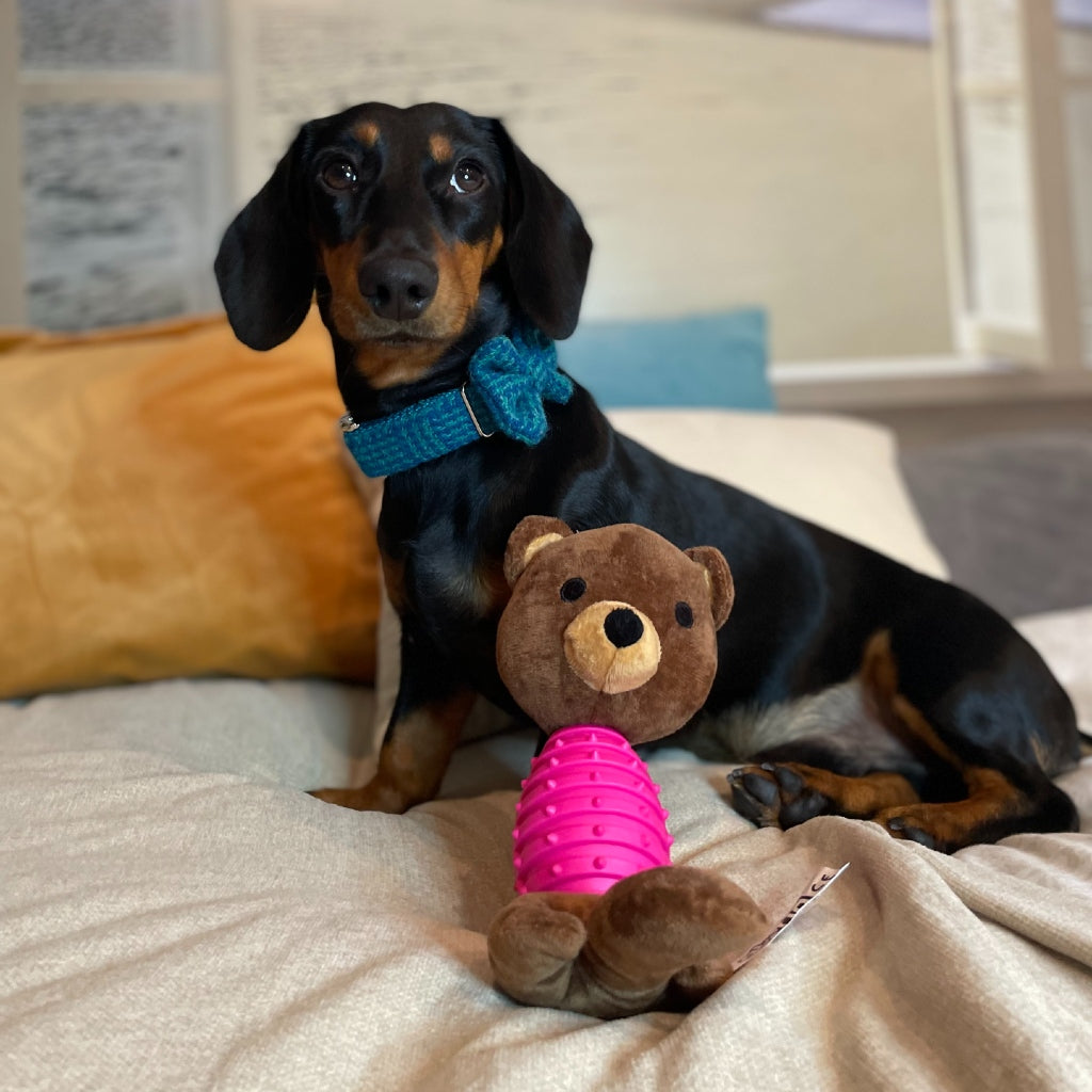 GLORIA Gaby peluche para perros