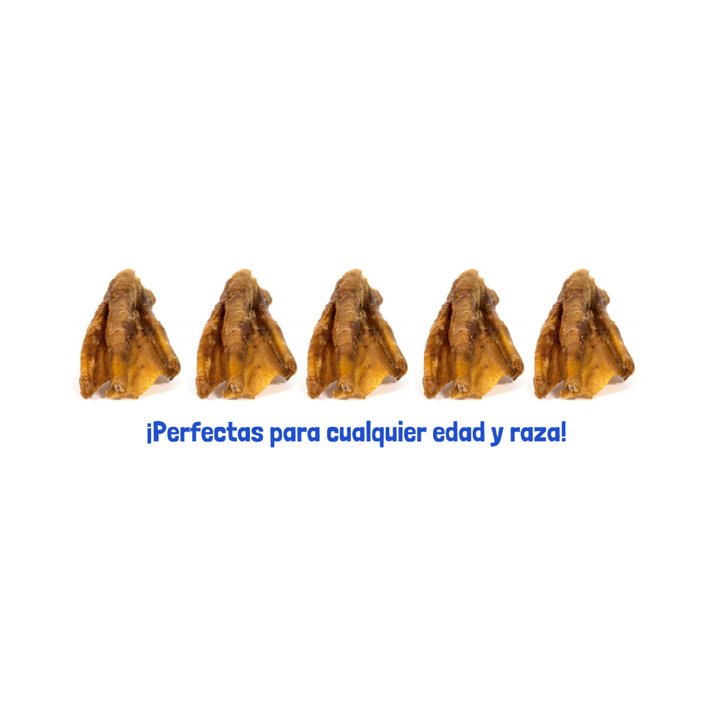 GLORIA Patas Pato Bolsa 5 ud