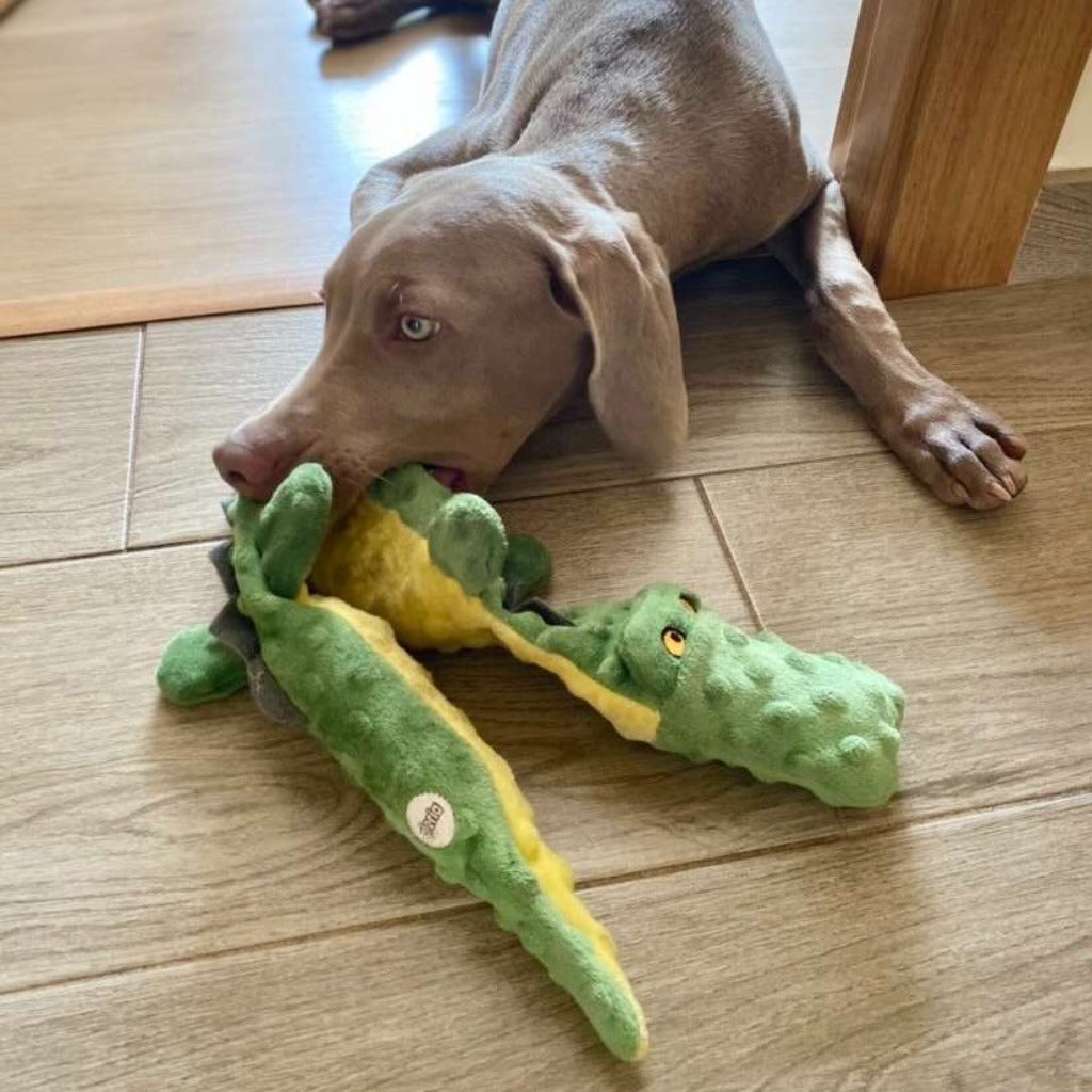 GLORIA Cocodrilo Dogmonster para perros