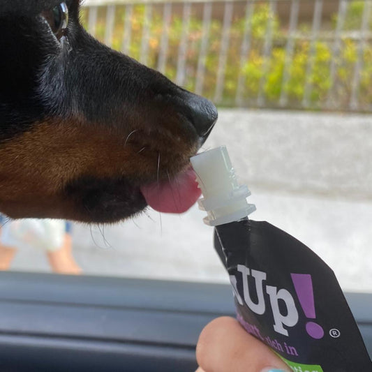 YowUp! Yogur 115 g para perros