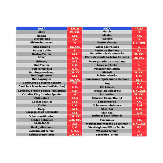 KONG Flyer para perros