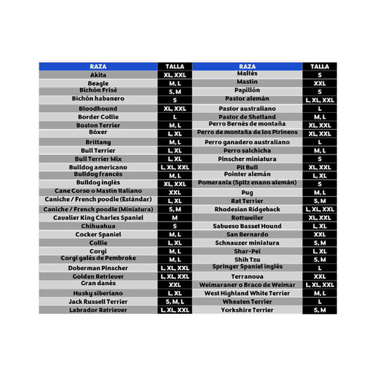 KONG Goodie Bone Extreme para perros