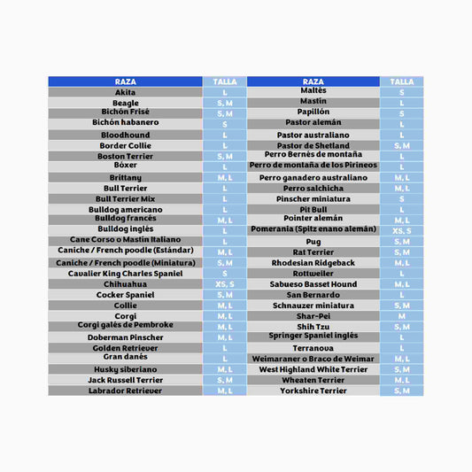 KONG Flyer Puppy para perros