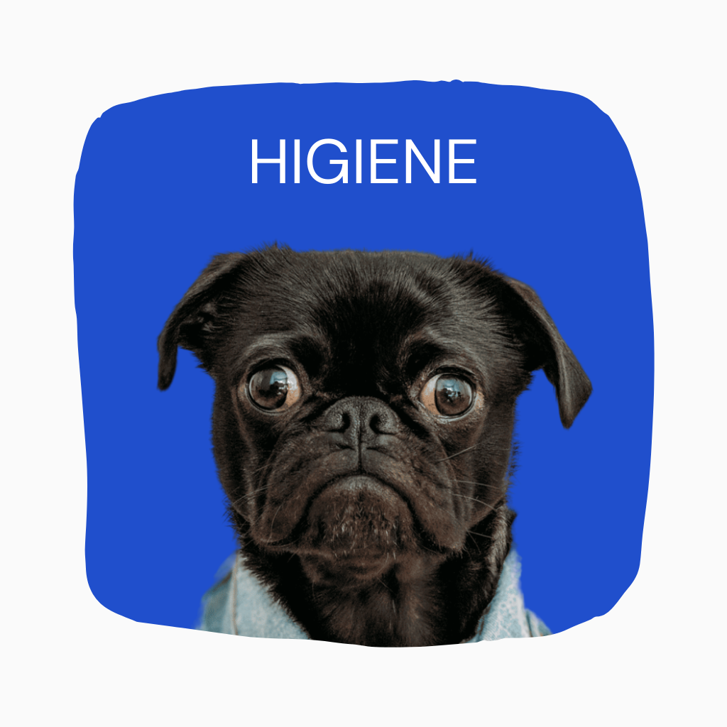 Higiene para perros