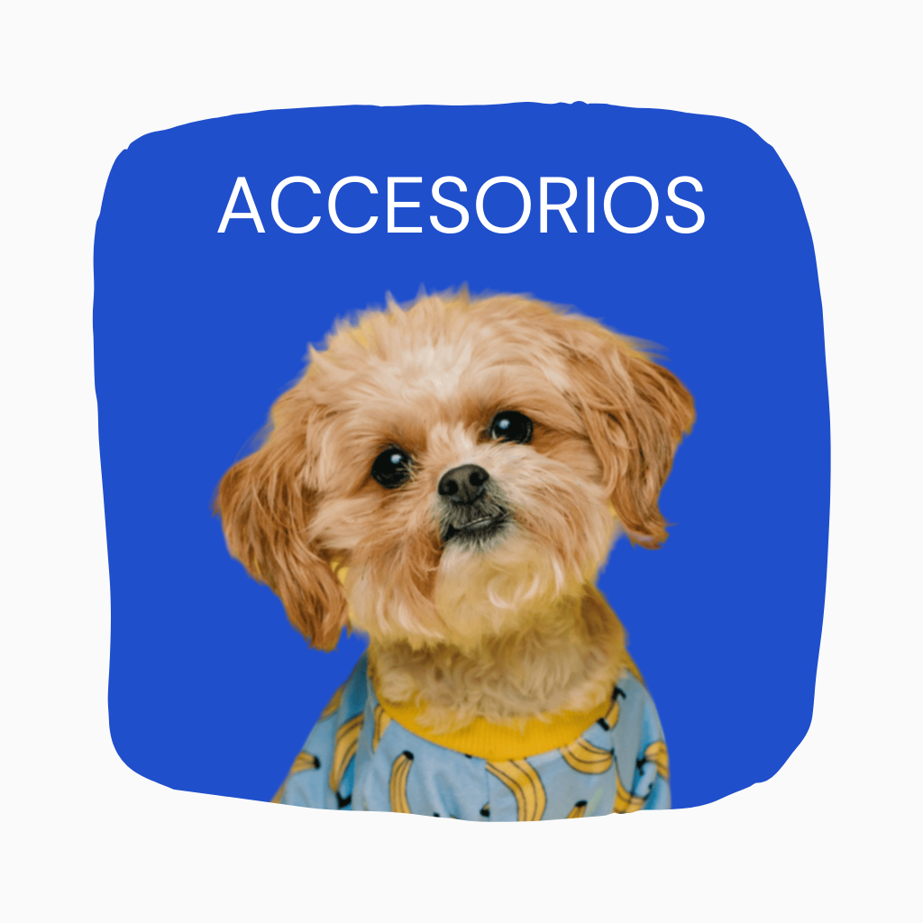 Accesorios para perros