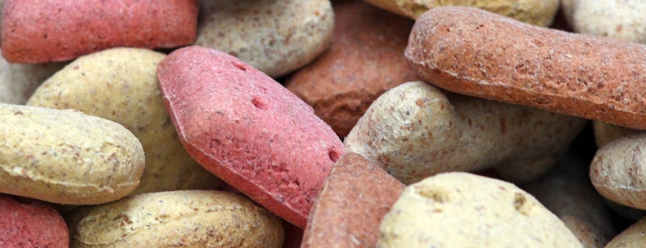 Snacks para perros