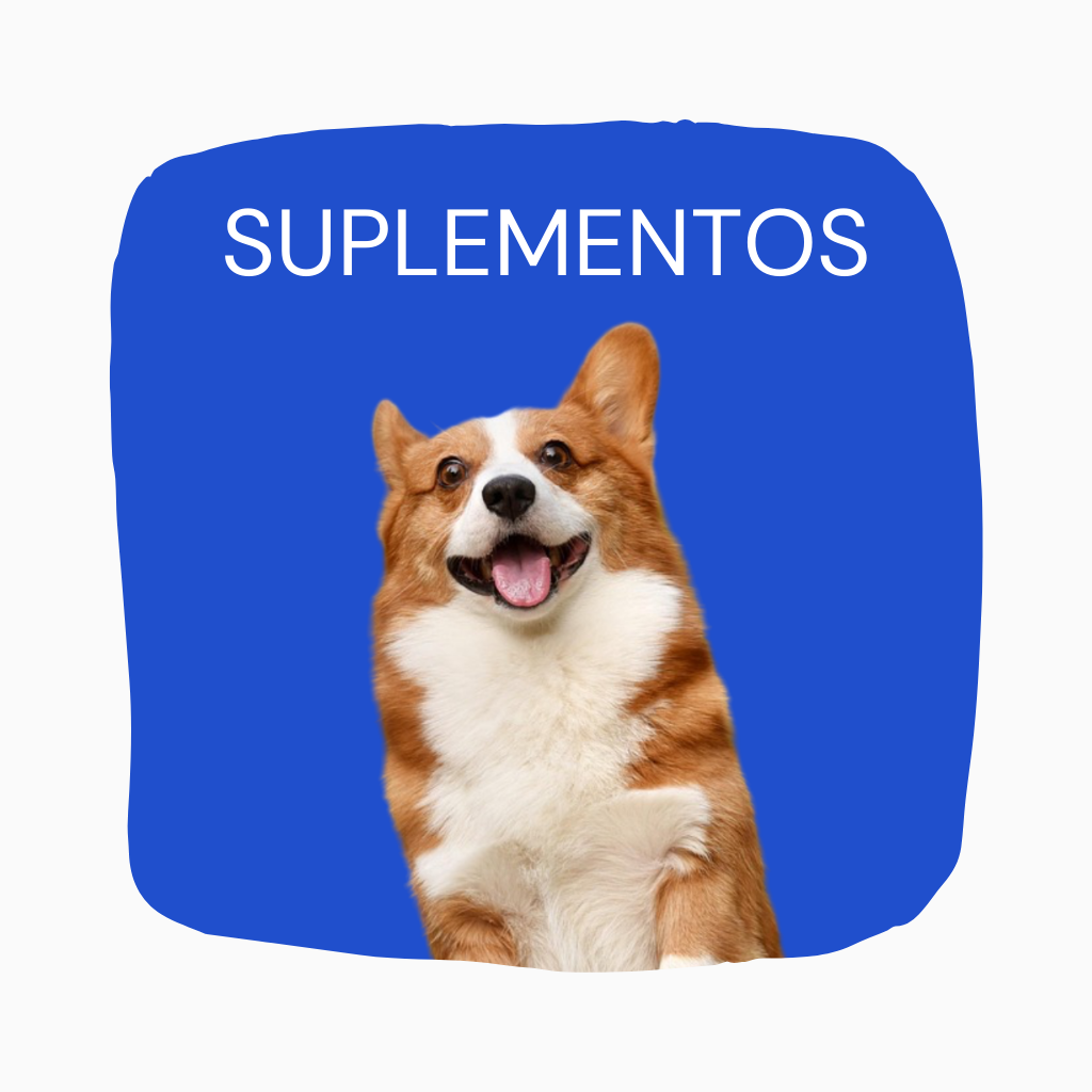 Suplementos y Aceites para perros