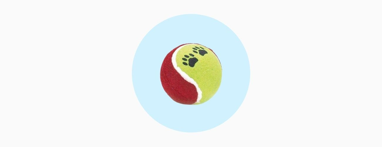 Pelotas para Perros