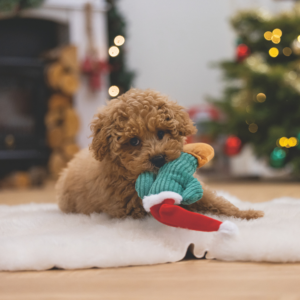 BEEZTEES Peluche Cactus Navidad