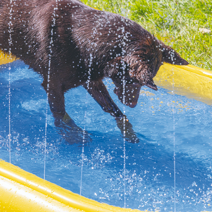 BEEZTEES Piscina con Aspersores para Perros
