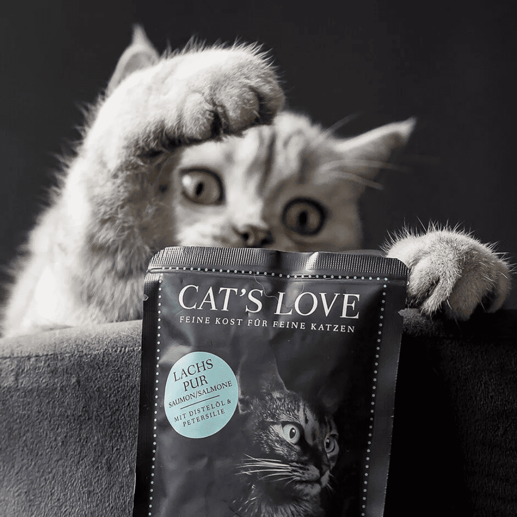 CAT´S LOVE Adulto Puro Salmón 85 g para gatos