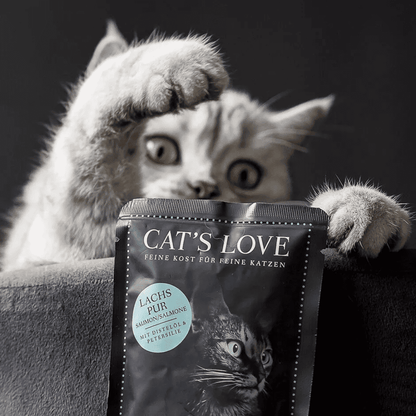 CAT´S LOVE Adulto Puro Salmón 85 g para gatos
