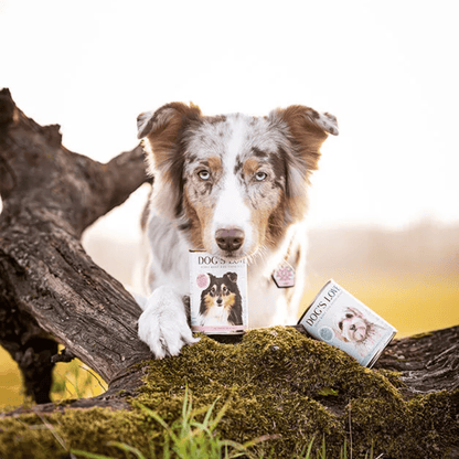 DOG´S LOVE Adulto Hipoalergénico Pato 400 g para perros