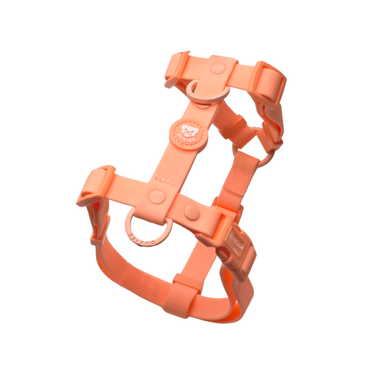 DUKIER Arnés Waterproof Coral