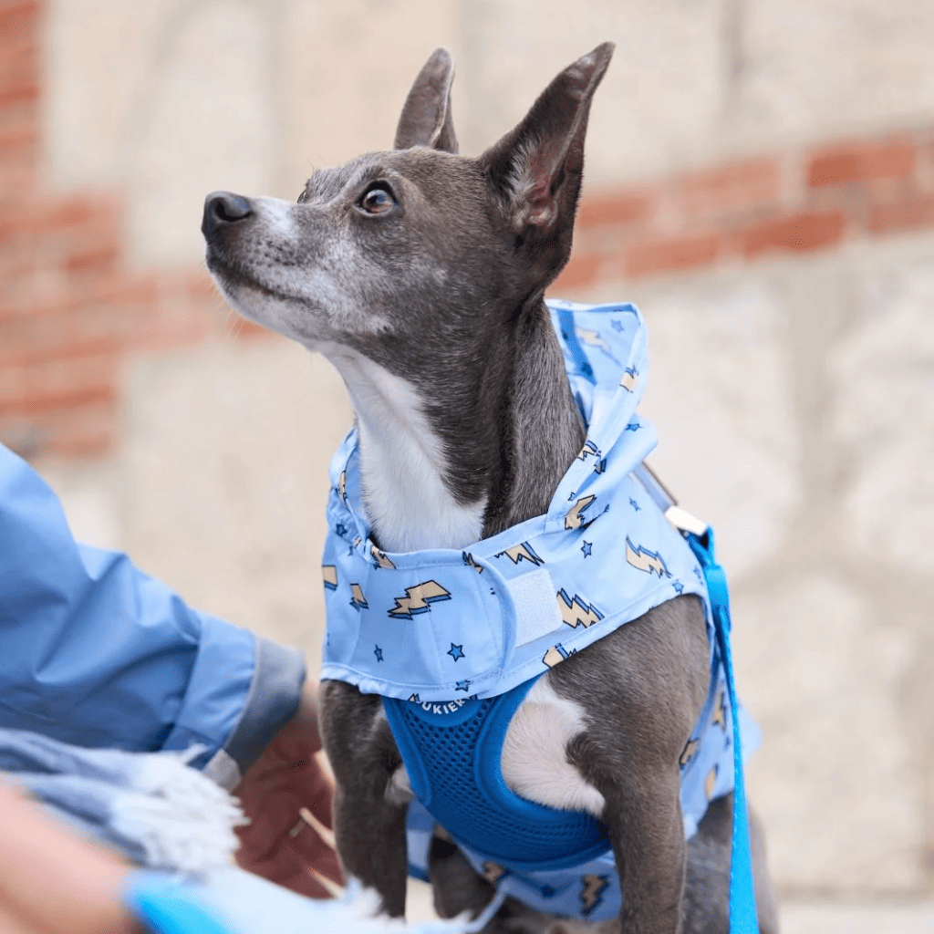 DUKIER Chubasquero Storm para perros