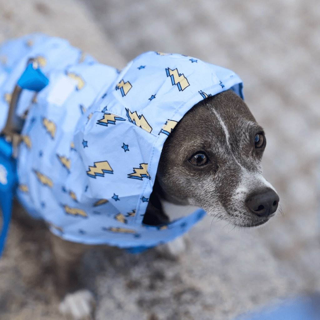 DUKIER Chubasquero Storm para perros