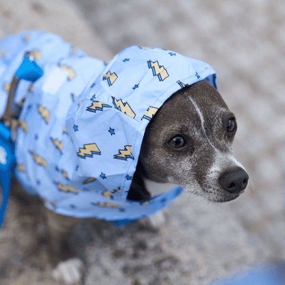 DUKIER Chubasquero Storm para perros