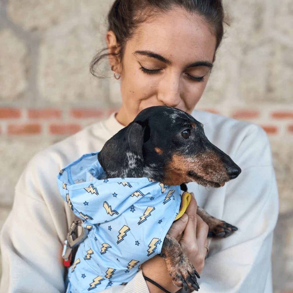 DUKIER Chubasquero Storm para perros