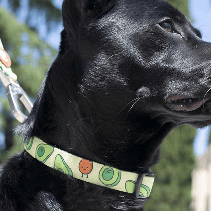 DUKIER Collar Avocado S para perros