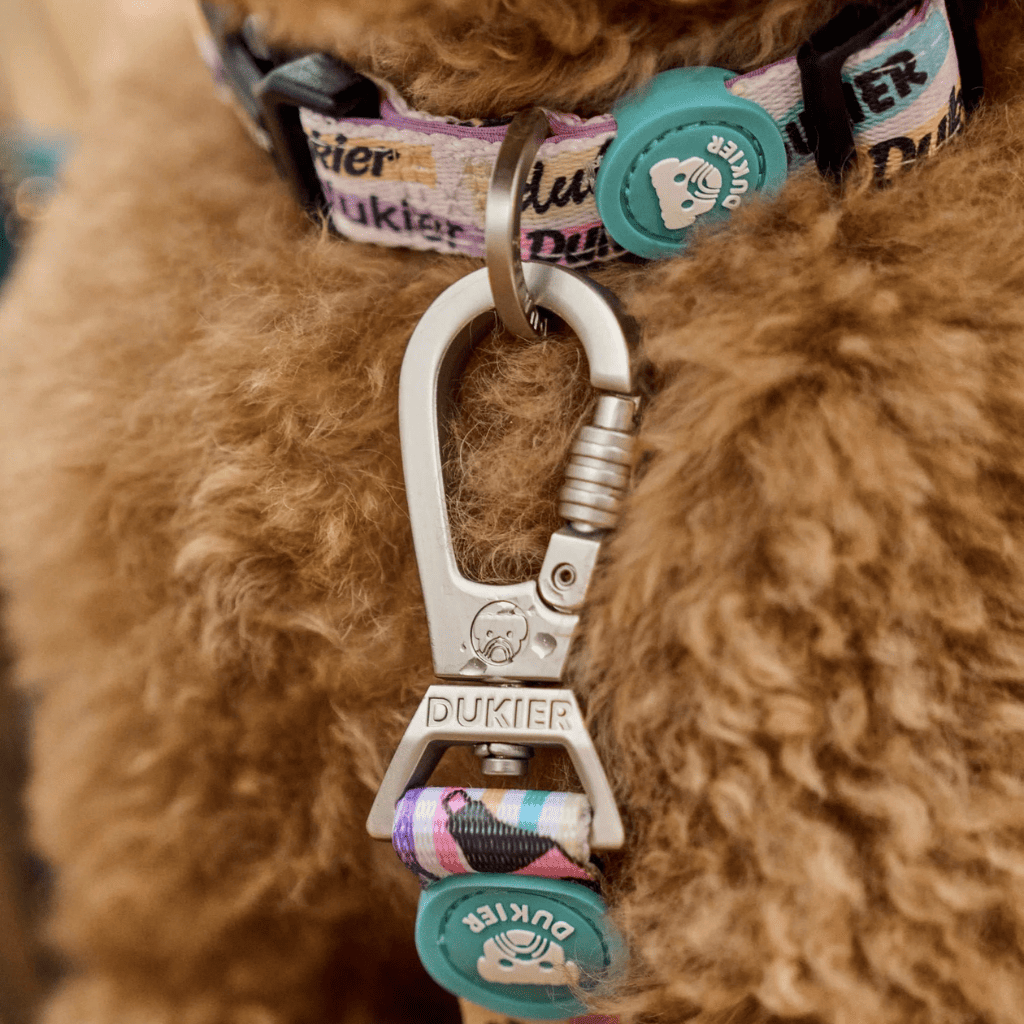 DUKIER Collar Cool School XS para perros